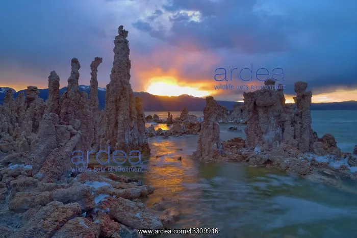 : 80187806 Tufa Formation - amazingly sculpted tufa : 80187806 Tufa Formation - amazingly sculpted tufa