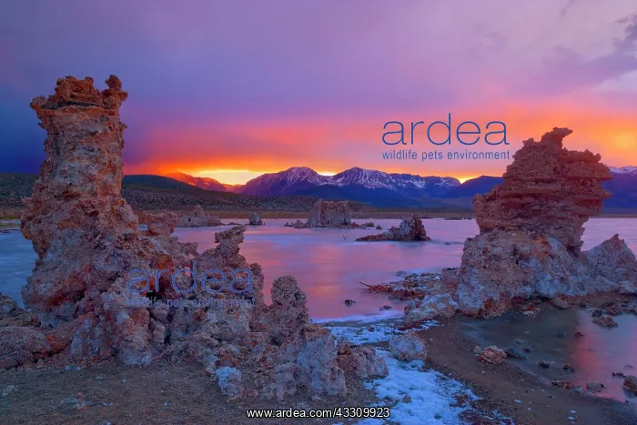 : 80187807 Tufa Formation - amazingly sculpted tufa : 80187807 Tufa Formation - amazingly sculpted tufa