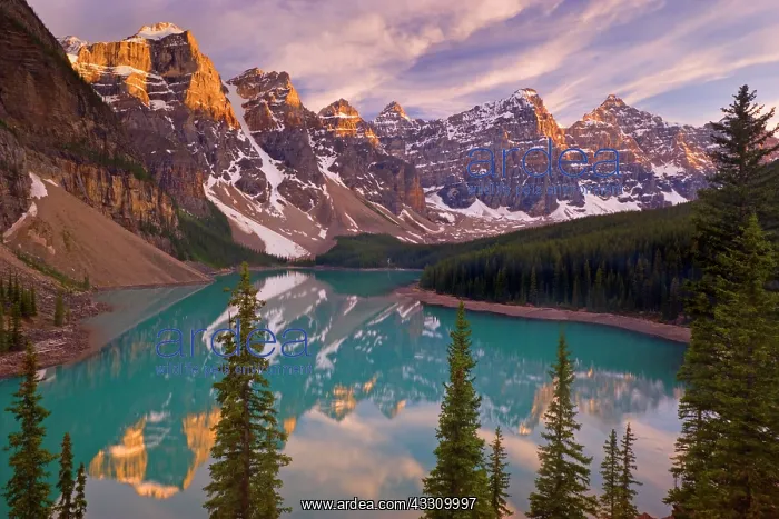 : 80187819 Moraine Lake - turquoise coloured Moraine : 80187819 Moraine Lake - turquoise coloured Moraine