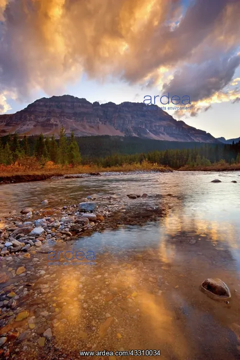  : 80187824 Mosquito Creek - mountain landscape with