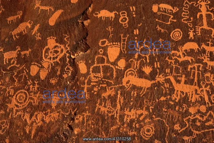: 80187850 Newspaper Rock - rock panel carved with : 80187850 Newspaper Rock - rock panel carved with