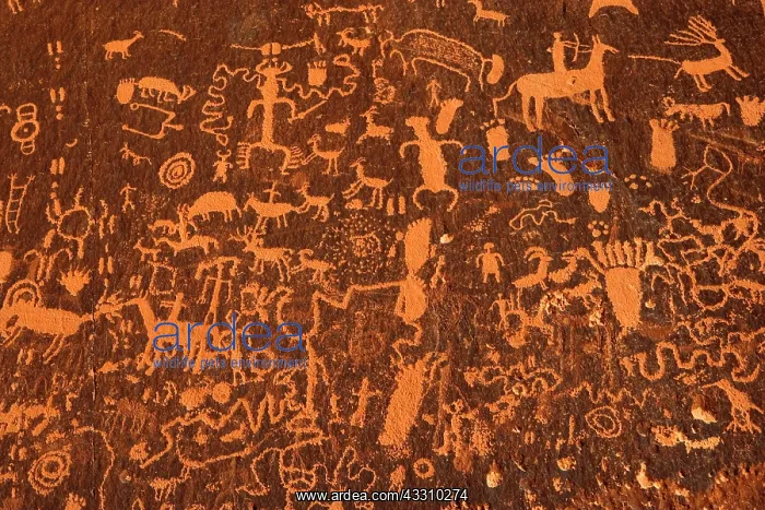 : 80187852 Newspaper Rock - rock panel carved with : 80187852 Newspaper Rock - rock panel carved with