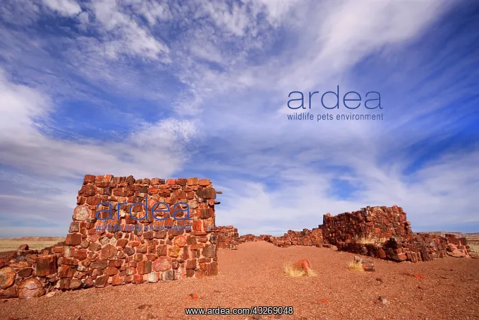 : 80187893 Agate House - partially restored pueblo : 80187893 Agate House - partially restored pueblo