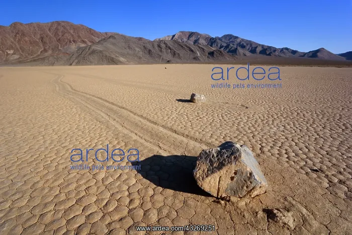 : 80187929 The Racetrack - dried-up lake bed with : 80187929 The Racetrack - dried-up lake bed with