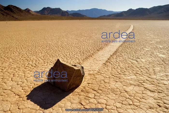 : 80187930 The Racetrack - dried-up lake bed with : 80187930 The Racetrack - dried-up lake bed with