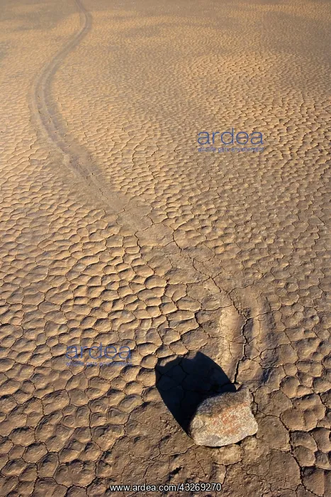 : 80187932 The Racetrack - dried-up lake bed with : 80187932 The Racetrack - dried-up lake bed with