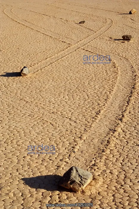  : 80187933 The Racetrack - dried-up lake bed with