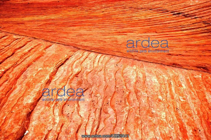 : 80187951 Rock Pattern - striated rock pattern - : 80187951 Rock Pattern - striated rock pattern -