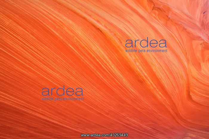  : 80187952 Rock Pattern - swirling and striated rock