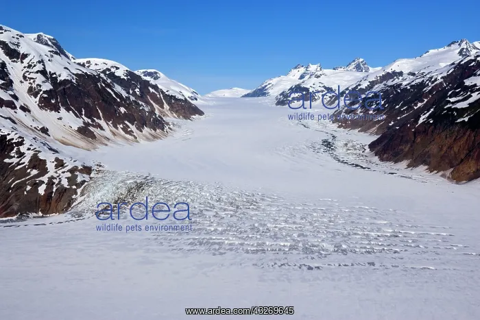 : 80187974 Salmon Glacier - British Columbia's biggest : 80187974 Salmon Glacier - British Columbia's biggest