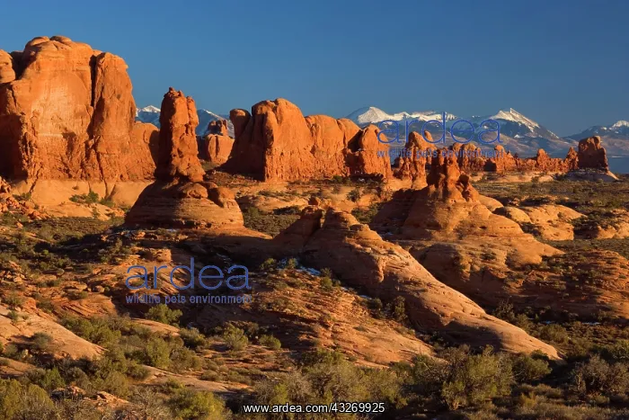 : 80188021 Sandstone Pillars - pillars of red sandstone : 80188021 Sandstone Pillars - pillars of red sandstone
