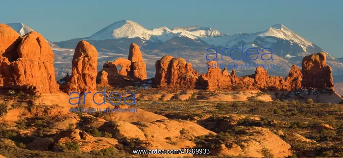 : 80188022 Sandstone Pillars - pillars of red sandstone : 80188022 Sandstone Pillars - pillars of red sandstone