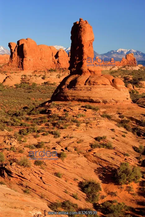 : 80188023 Sandstone Pillars - pillars of red sandstone : 80188023 Sandstone Pillars - pillars of red sandstone