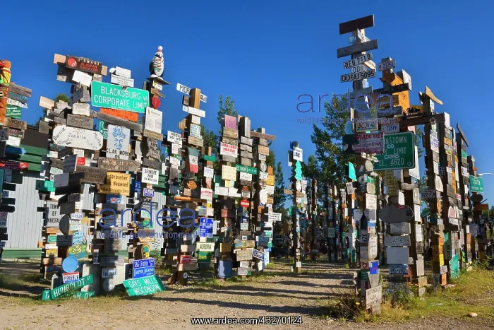 : 80188046 Sign Post Forest - famous massive collection : 80188046 Sign Post Forest - famous massive collection
