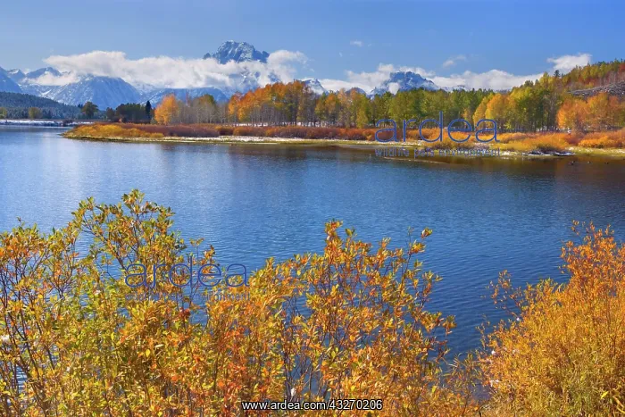: 80188059 Snake River Oxbow - mountain landscape : 80188059 Snake River Oxbow - mountain landscape