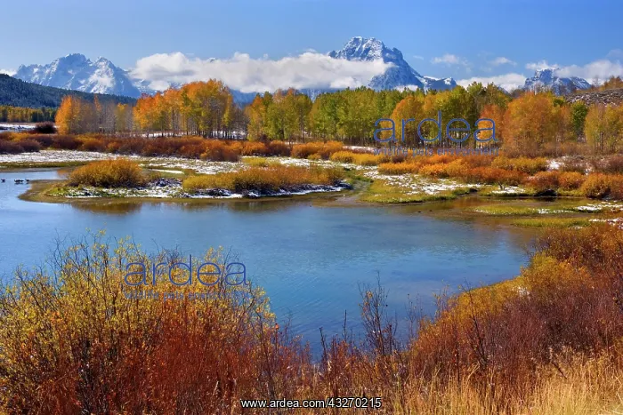 : 80188060 Snake River Oxbow - mountain landscape : 80188060 Snake River Oxbow - mountain landscape