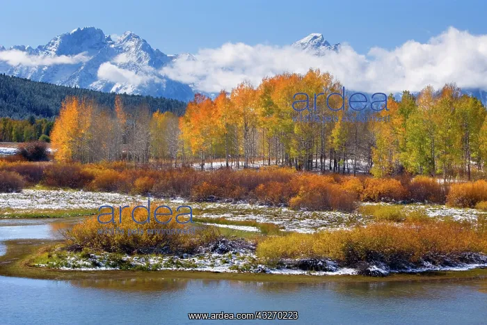 : 80188061 Snake River Oxbow - mountain landscape : 80188061 Snake River Oxbow - mountain landscape