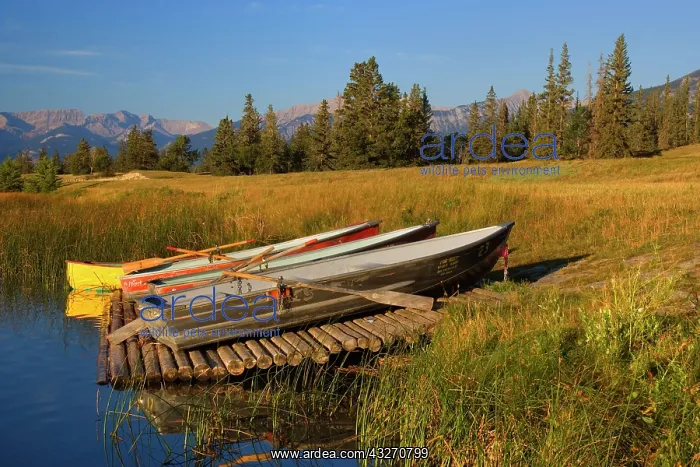  : 80188128 Talbot Lake - colourful rowing boats at