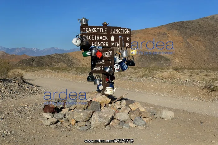 : 80188130 Teakettle Junction - wooden road sign at : 80188130 Teakettle Junction - wooden road sign at