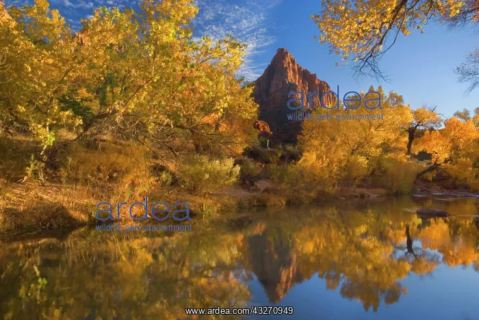  : 80188144 The Watchman - red cliffs of mountain called