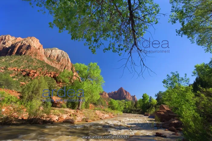 : 80188150 The Watchman and Virgin River - Virgin : 80188150 The Watchman and Virgin River - Virgin