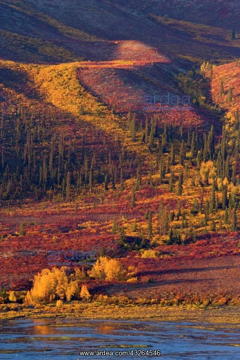: 80188177 Tombstone Mountains - river flows through : 80188177 Tombstone Mountains - river flows through