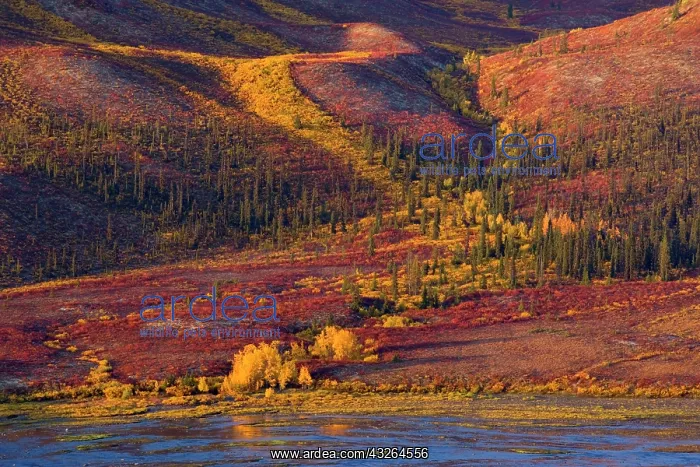 : 80188178 Tombstone Mountains - river flows through : 80188178 Tombstone Mountains - river flows through