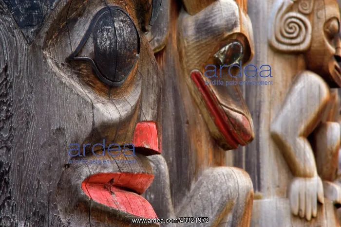 : 80188192 Totem pole - details of historic totem : 80188192 Totem pole - details of historic totem
