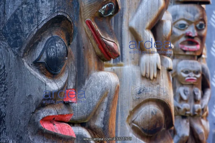 : 80188193 totem pole - historic indian totem poles : 80188193 totem pole - historic indian totem poles