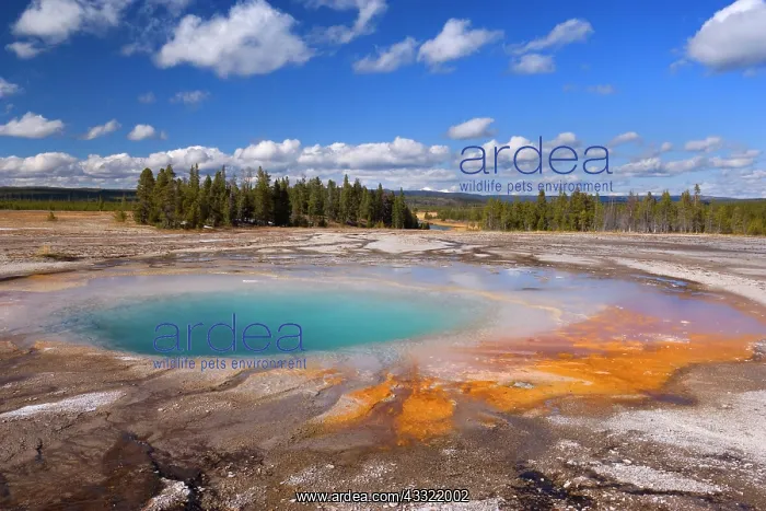 : 80188196 Turquoise Pool - brightly turquoise coloured : 80188196 Turquoise Pool - brightly turquoise coloured