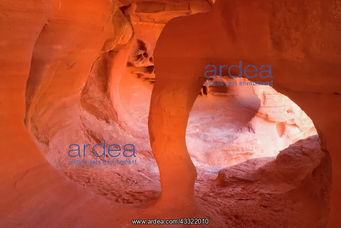 : 80188197 Windstone - by erosion sculpted little : 80188197 Windstone - by erosion sculpted little