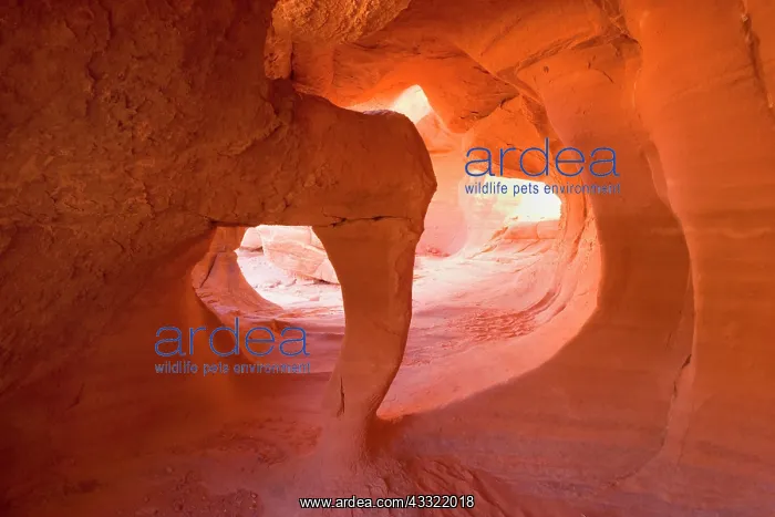 : 80188198 Windstone - by erosion sculpted little : 80188198 Windstone - by erosion sculpted little