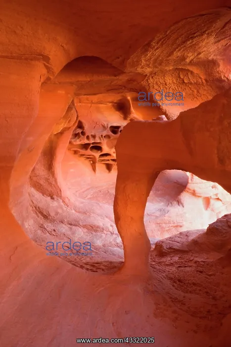 : 80188199 Windstone - by erosion sculpted little : 80188199 Windstone - by erosion sculpted little