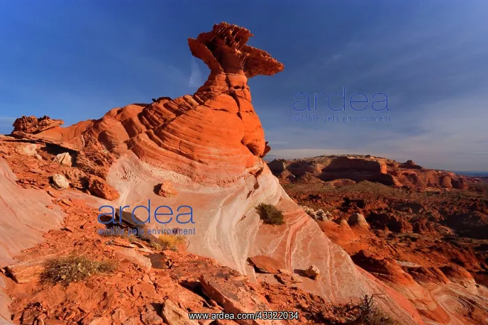 : 80188200 Vermillion Cliffs Hoodoo - artfully sculped : 80188200 Vermillion Cliffs Hoodoo - artfully sculped