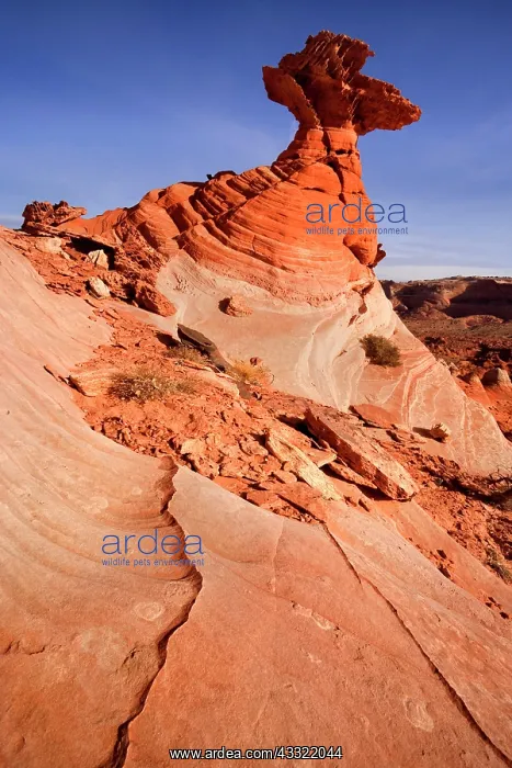: 80188201 Vermillion Cliffs Hoodoo - artfully sculped : 80188201 Vermillion Cliffs Hoodoo - artfully sculped
