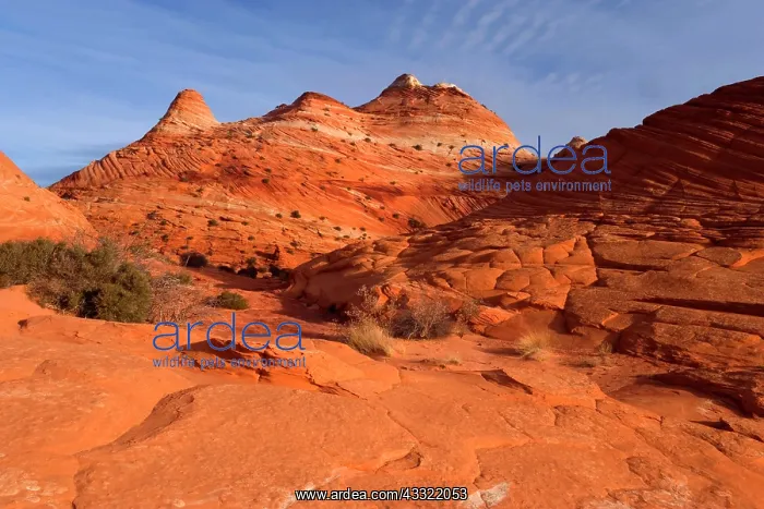 : 80188202 Vermillion Cliffs - beehive-shaped rock : 80188202 Vermillion Cliffs - beehive-shaped rock