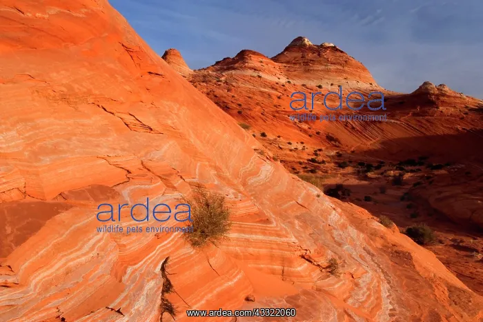 : 80188203 Vermillion Cliffs - beehive-shaped rock : 80188203 Vermillion Cliffs - beehive-shaped rock