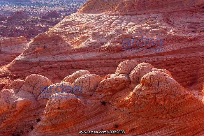 : 80188204 Vermillion Cliffs - beehive-shaped rock : 80188204 Vermillion Cliffs - beehive-shaped rock