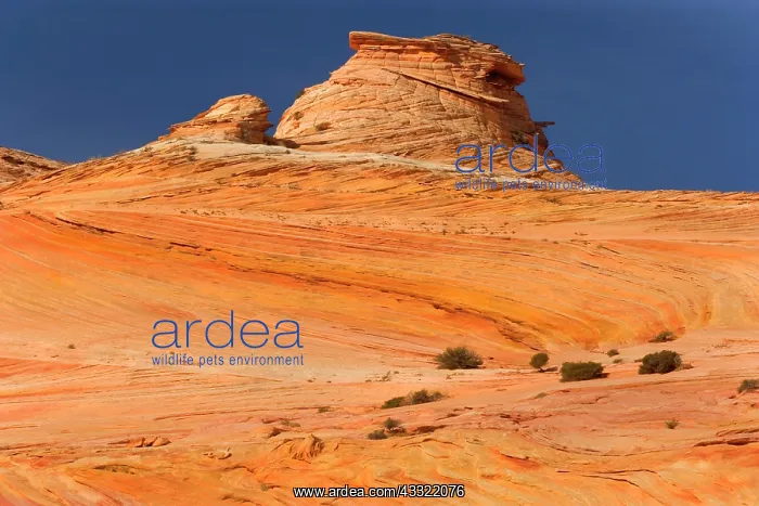 : 80188205 Vermillion Cliffs - artfully sculpted hoodoos : 80188205 Vermillion Cliffs - artfully sculpted hoodoos