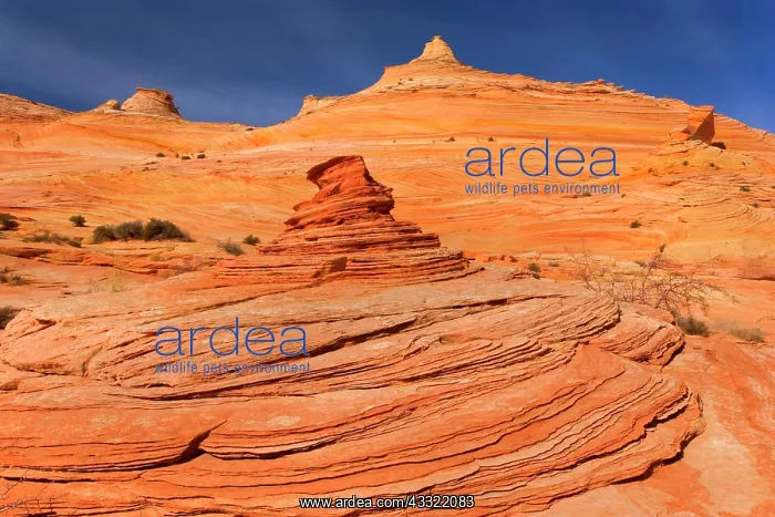 : 80188206 Vermillion Cliffs - artfully sculpted hoodoos : 80188206 Vermillion Cliffs - artfully sculpted hoodoos