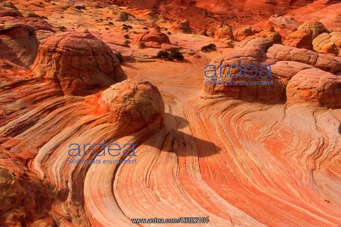 : 80188208 Vermillion Cliffs - artfully sculpted rock : 80188208 Vermillion Cliffs - artfully sculpted rock