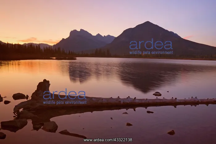 : 80188213 Vermillion Lakes - Mount Rundle and Sulphur : 80188213 Vermillion Lakes - Mount Rundle and Sulphur