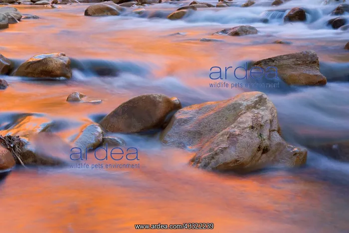 : 80188227 Virgin River - red cliffs and brightly : 80188227 Virgin River - red cliffs and brightly