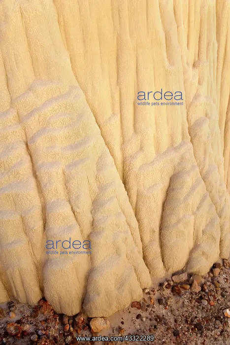 : 80188234 Silt-stone pattern - foot of one of the : 80188234 Silt-stone pattern - foot of one of the