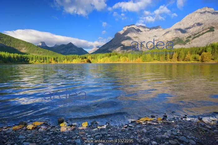 : 80188235 Wedge Pond - mountain landscape with picturesque : 80188235 Wedge Pond - mountain landscape with picturesque