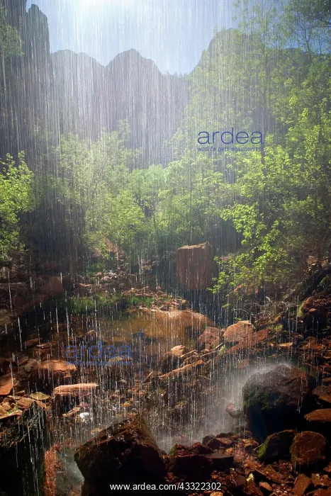  : 80188236 Weeping Rock - water is rushing over a