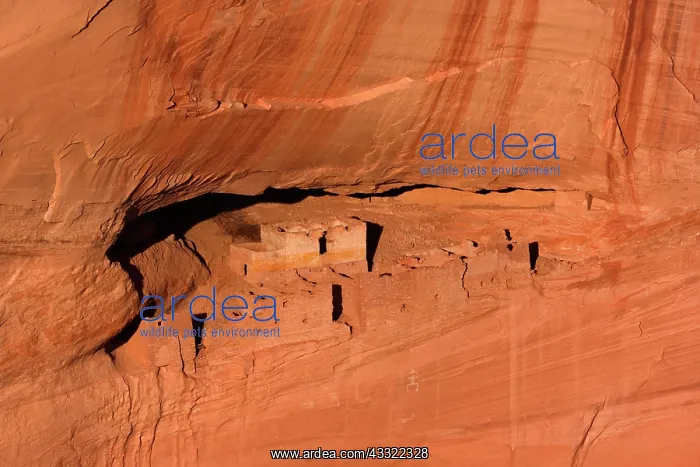 : 80188240 White House Ruin - ancient Anasazi ruin : 80188240 White House Ruin - ancient Anasazi ruin