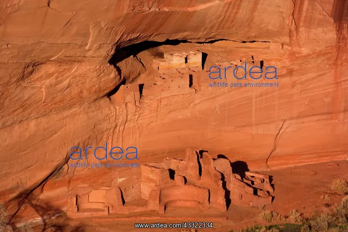 : 80188241 White House Ruin - ancient Anasazi ruin : 80188241 White House Ruin - ancient Anasazi ruin