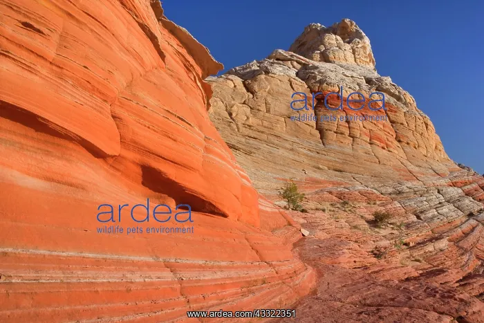 : 80188243 White Pocket - artfully sculpted rock formations : 80188243 White Pocket - artfully sculpted rock formations