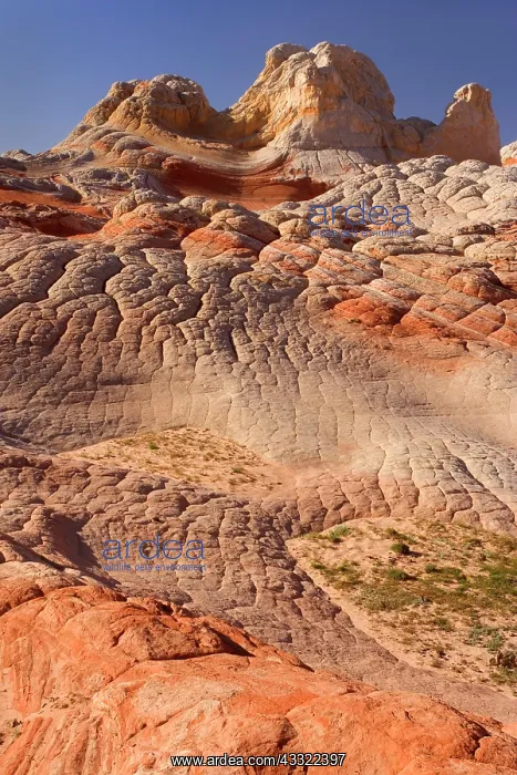 : 80188249 White Pocket - Brainrocks and artfully : 80188249 White Pocket - Brainrocks and artfully